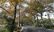 誰是環(huán)境產業中的后浪？